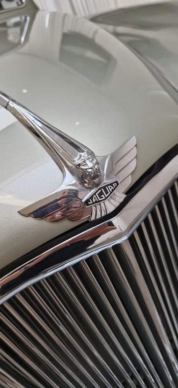 1952 Jaguar MK VII-44
