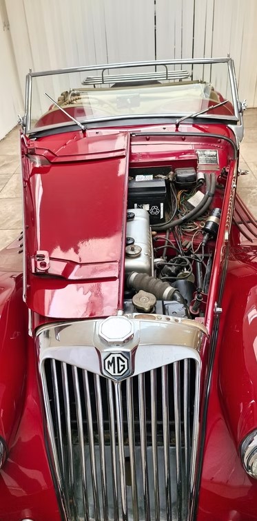 1954 MG TF-29
